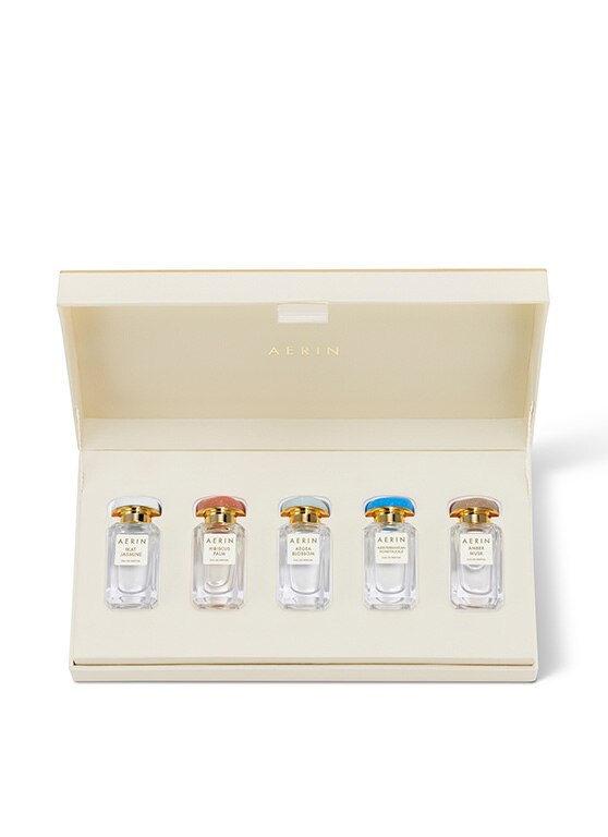 AERIN Discovery Set