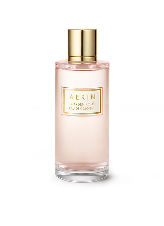 AERIN Garden Rose